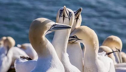 弥勒最新公积金卡提取方法分析(最方便真实的弥勒公积金卡提取后还可以继续使用吗方法)